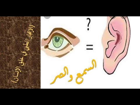 السمع و البصر