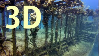 In 3D, Sharks, Shipwrecks, & Coral Reefs   An Underwater  3D Channel Film