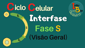 O que acontece com o DNA na fase S?