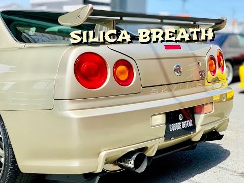 SOLID GOLD! R34