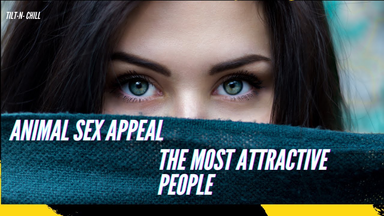 What is an animal sex appeal? Why are these people so attractive? - YouTube