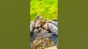 2 Easy Steps to Improve Clay Soil