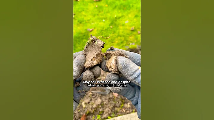 2 Easy Steps to Improve Clay Soil