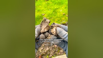 2 Easy Steps to Improve Clay Soil