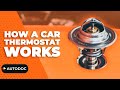 How a car thermostat works | AUTODOC #autodoc #carhack