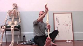 Yoga Anatomy Knee Hyperextension