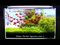 CLASSIC PLANTED AQUARIUM Update | Aquascaping