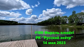 #189 Форель клюёт! РК &quot;Русский осётр&quot; 14 мая 2023