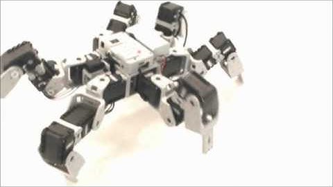 Gilbo & Robotis - Bioloid Premium Kit - Kral Örümcek www.robotsepeti.com www.gilbo.com.tr