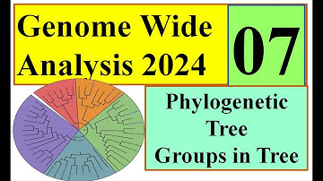 Phylogenetic Tree Genome wide study 2024 Part 07