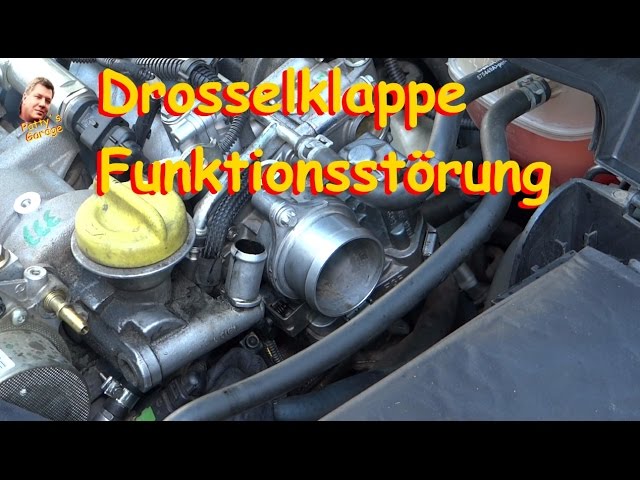 Funktion und Reinigung der Drosselklappe mit dem BEDI