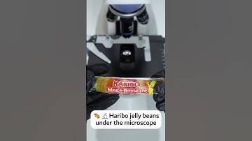 🍬🔬Haribo jelly beans under the microscope #microscope  #underthemicroscope