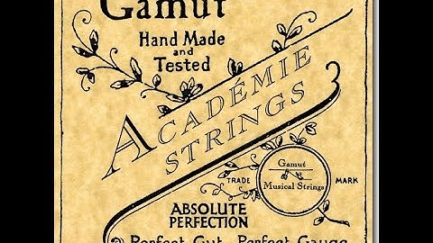 Gamut Pistoy Gut (heavy+ gauge) Cello D String Demonstration