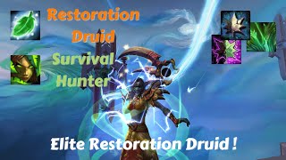 Restoration Druid PvP 9.2.5  | RDruid with Feral Affinity for Rogue vibes, 2700 MMR peak