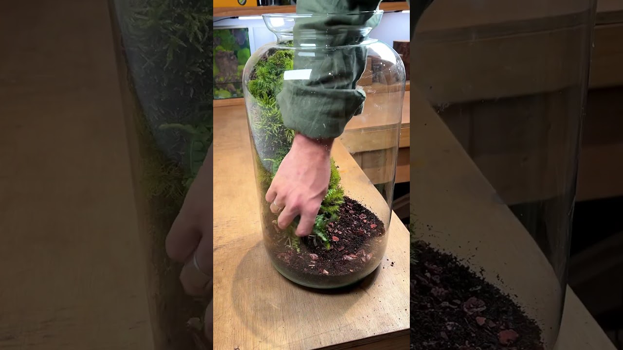 Как сделать замазку для террариума (отличный рецепт!)