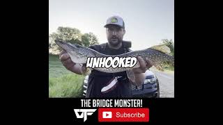 Catching the Bridge Monster!