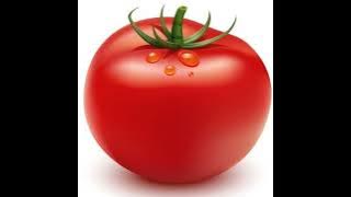 Tomato Tomato Tomato - Brazilian phonk