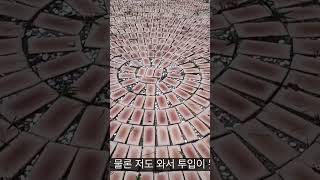 휴일 브이로그 1부,청도 전원주택