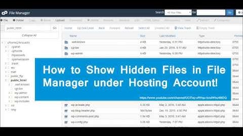 How to show the hidden files in your Cpanel under file manager in Hosting account