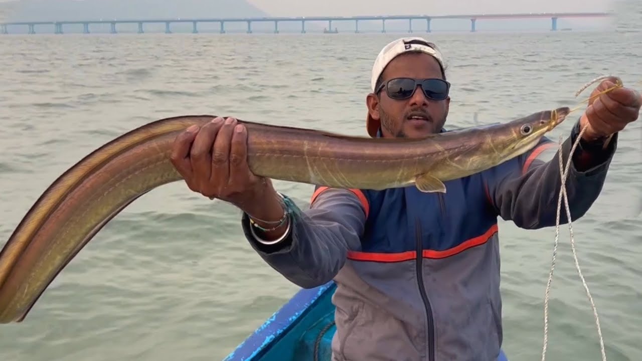 खांदा पारंपारिक मासेमारी | Dangerous Eel😱 | वाम मासेमारी | Monster Grouper | नुसते किलशी आणि टोळके