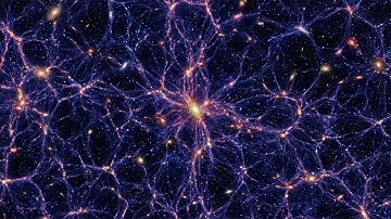 THE COSMIC WEB: THE UNIVERSE