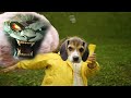 rengo.exe