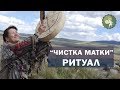 Ритуал "Чистка матки" от сибирской шаманки Аллы Громовой