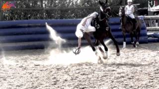 Horse-Ball : The most impressive equestrian sport