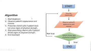 Oxford Right Byte 3 Chapter 4 part 2