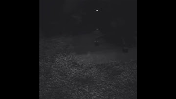 NF - Snippet - March 14, 2018, 8:12pm CST