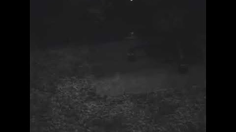 NF - Snippet - March 14, 2018, 8:12pm CST