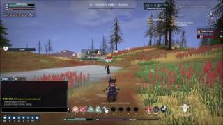 Crowfall Alpha Test 3.9 Duelist vs  Confessor