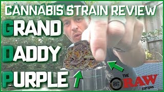 Cannabis Strains In The UK - GRAND DADDY PURPLE - Cannabis Strain Review (Weedview RAW Editions)