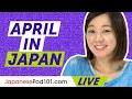 What's happening in April in Japan? | Must-Know Kanji for Beginners