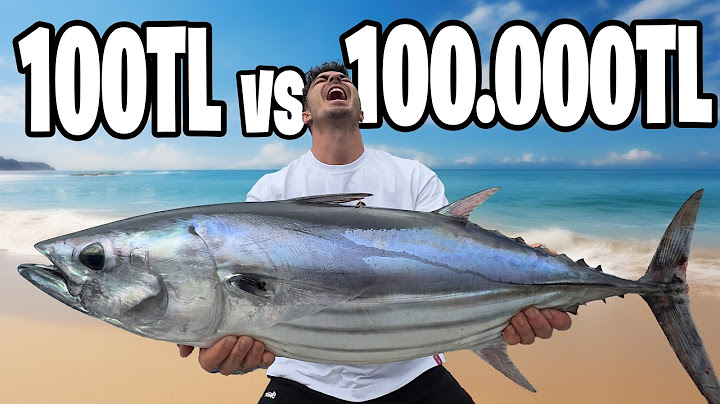 100 TL vs 100.000 TL OLTA ile BALIK AVLAMAK!!