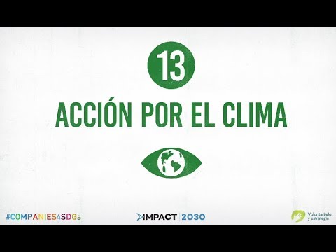 ODS 13.- Acción por el Clima