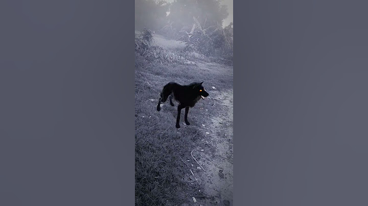 Dangerous fox 🦊 video #shorts  #trending  #fox #animal