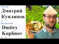 Дмитрий Куплинов на разных языках мем!