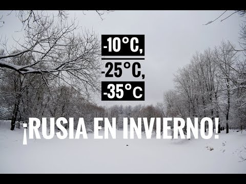 Vídeo: Las 5 Etapas De Soportar Un Invierno Ruso - Matador Network