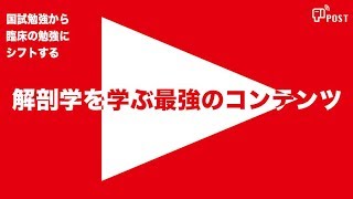 解剖学を学ぶ最強のコンテンツ