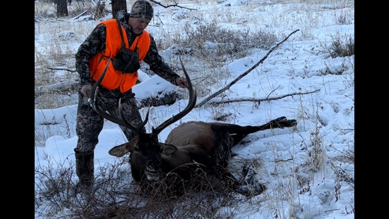 Охота на лося 2022 | Холодно, весело... и страшно