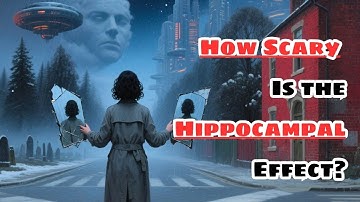 How Scary Is the Hippocampal Effect? Have You Experienced It? | 3 Minute Science