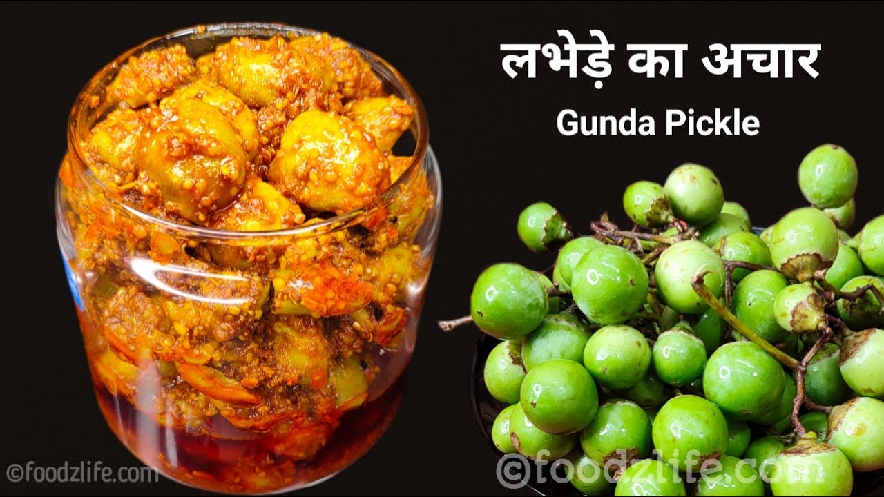 Lasode लसूड़े का चटपटा अचार जिसका स्वाद आप कभी भुला नहीं पायेंगे | Gunda ...