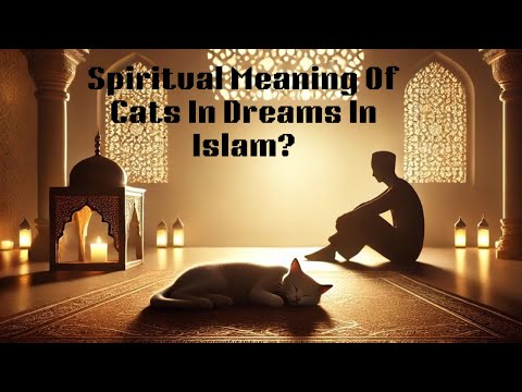 Spiritual Meaning Of Cats In Dreams In Islam A Cat In Dream Islamic Interpretation Video.