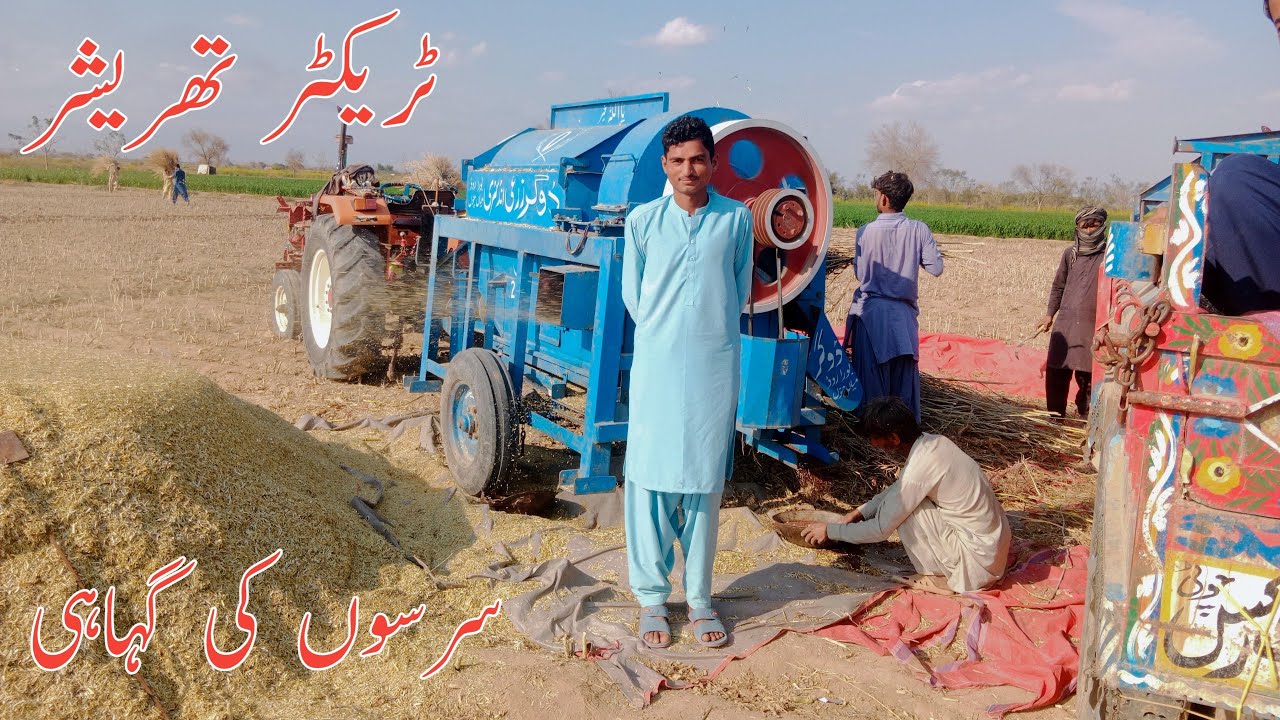 Tractor 🚜 Thracher Sarso Ke Fsl/ٹریکٹر تھریشر سرسوں کی گہاہی 