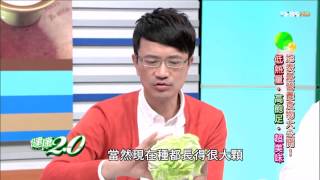 健康2.0_20150125_1520_2(TVBS DMDD)