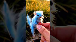 Handheld POV of Tiny Magical Creatures Emerging