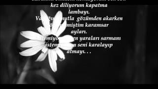 Albedo - Papatya Yaprağı 2015