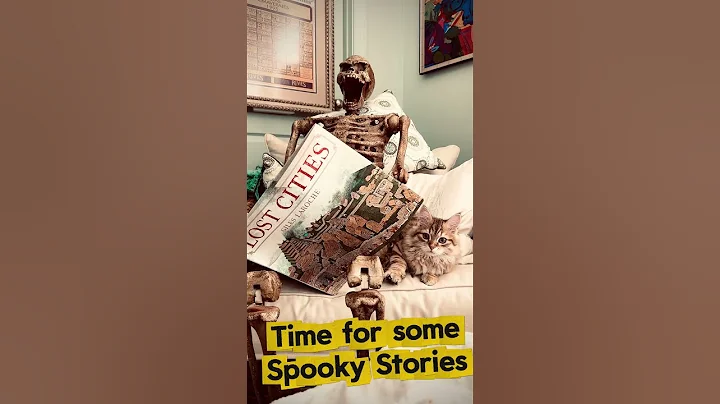 Video 11365511: siberian cat kitten, kittens golden cats