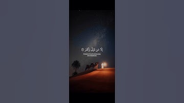 ﴿ أَفَلَا يَنظُرُونَ إِلَى الْإِبِلِ كَيْفَ خُلِقَتْ ﴾ سورة الغاشية | القارئ عبد الرحمن مسعد
